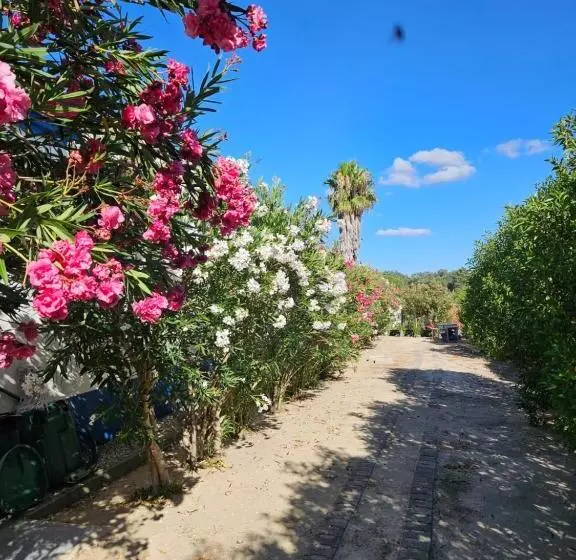 ホテル Casa Zanzibar