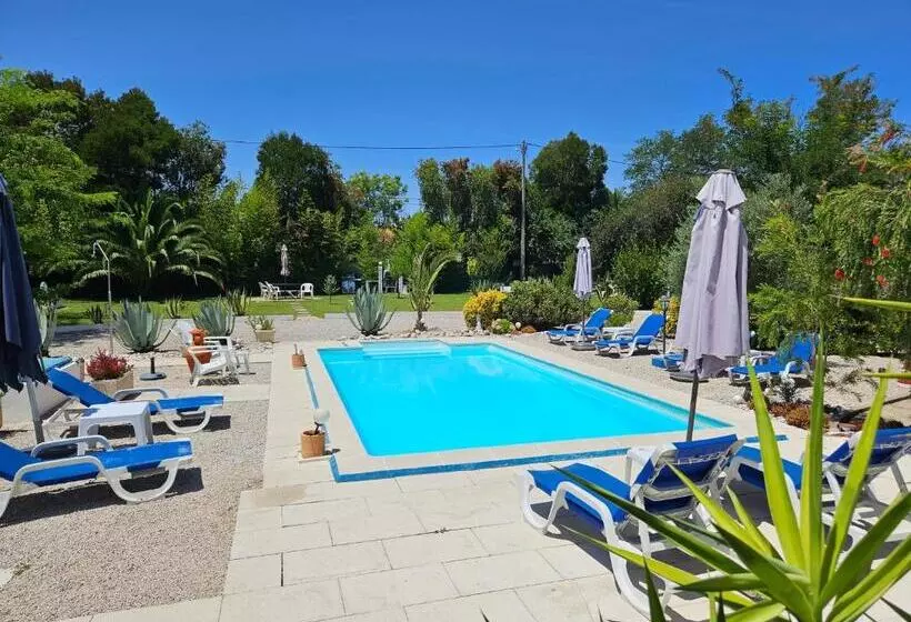 ホテル Casa Zanzibar