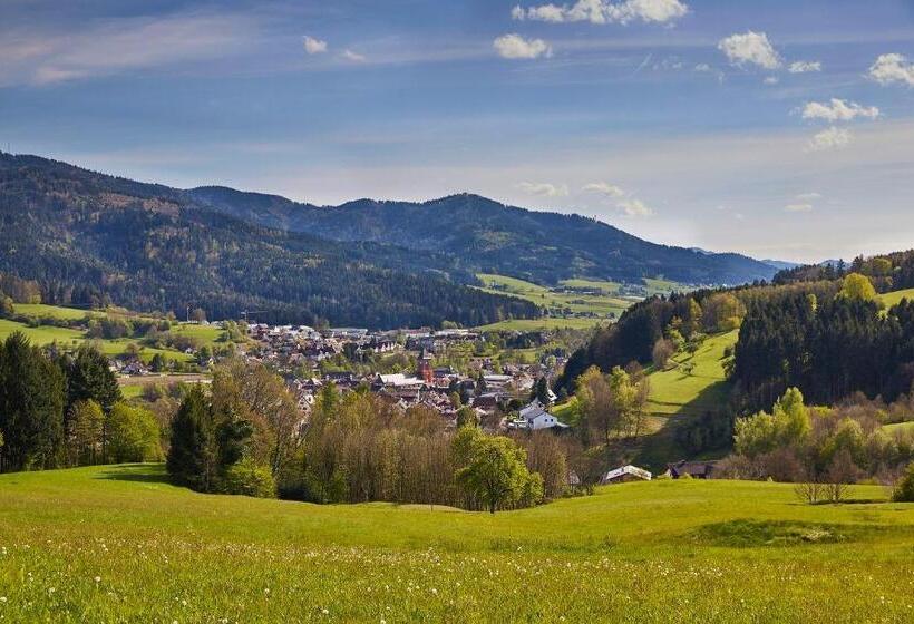 Elzland Hotel 9 Linden