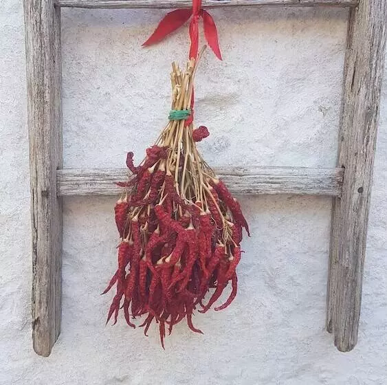 Maaseutuhotelli Masseria Gianca