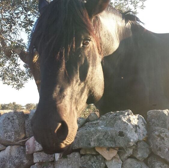 בית מלון כפרי Masseria Gianca