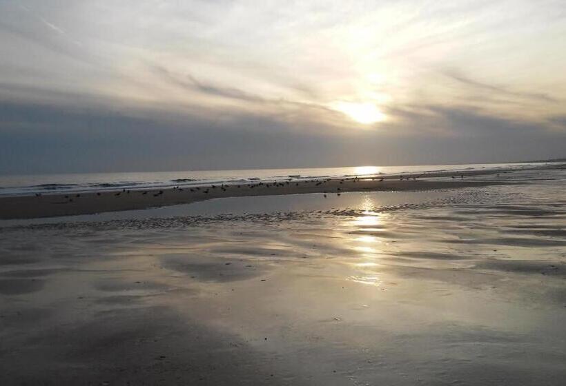 پانسیون Casa Da Praia Al