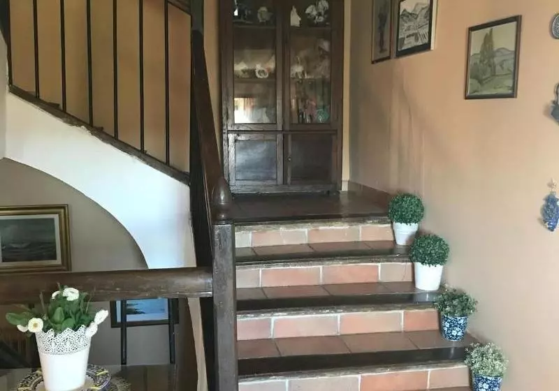 El Olivo De Sansol