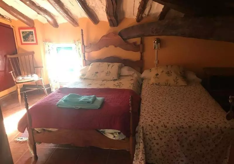 El Olivo De Sansol