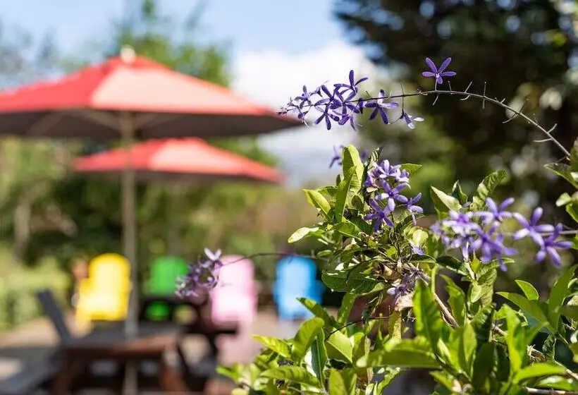 تختخواب و صبحانه Julie S Garden, Cingjing   Fon Chin Homestay