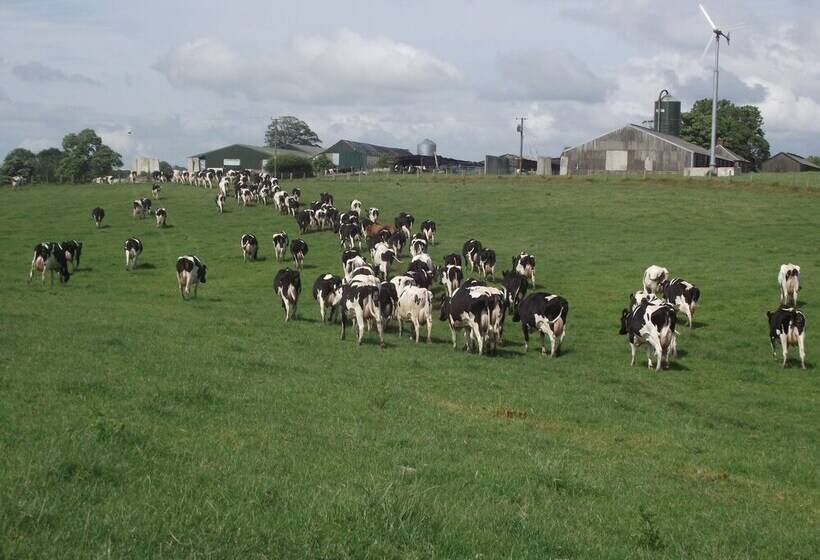 Broomhills Farm River Eco Pods