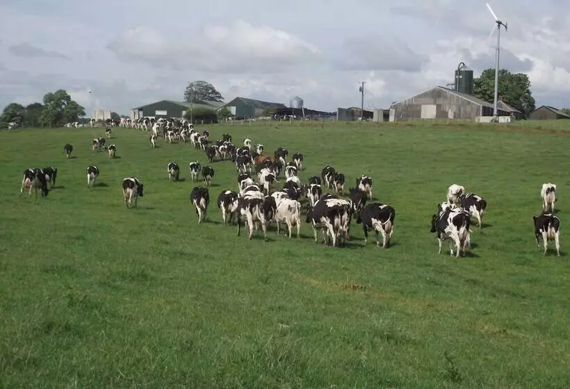 Broomhills Farm River Eco Pods