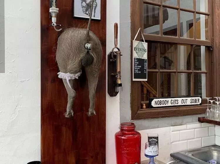 ベッドアンドブレックファースト Ziggys Mountain Retreat