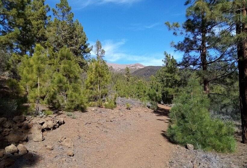 تختخواب و صبحانه Ziggys Mountain Retreat