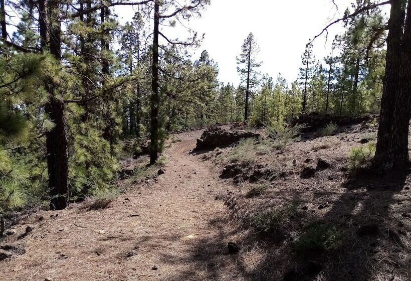 تختخواب و صبحانه Ziggys Mountain Retreat