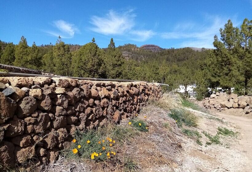 تختخواب و صبحانه Ziggys Mountain Retreat