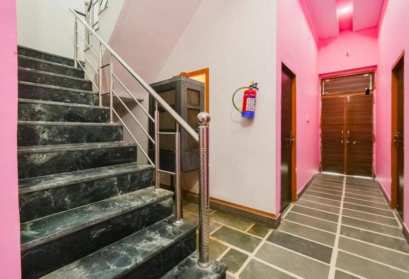 Отель Oyo 49622  Mateshwari