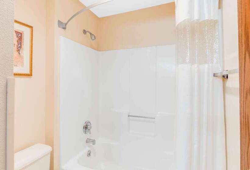 فندق Baymont By Wyndham Kalamazoo West