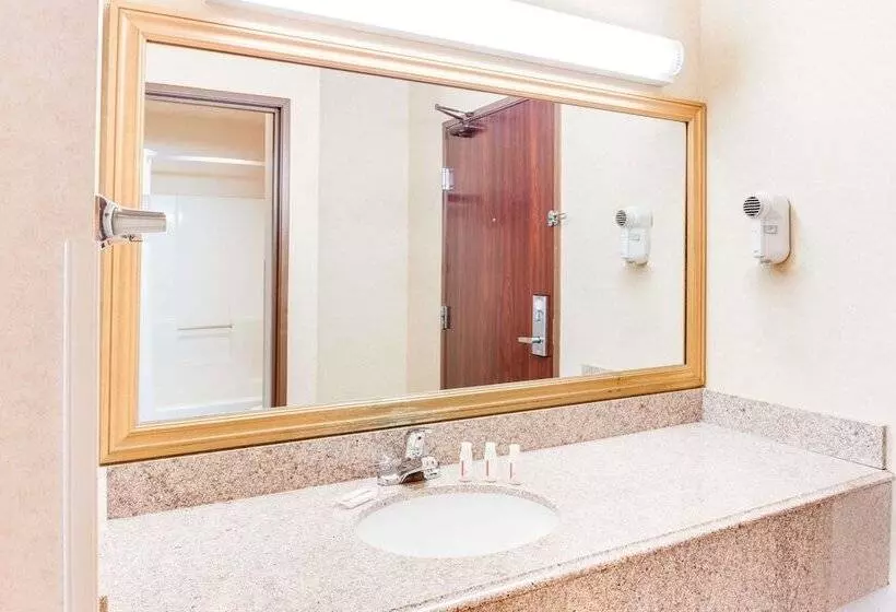 בית מלון כפרי Baymont By Wyndham Kalamazoo West