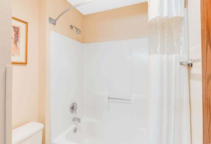 فندق Baymont By Wyndham Kalamazoo West