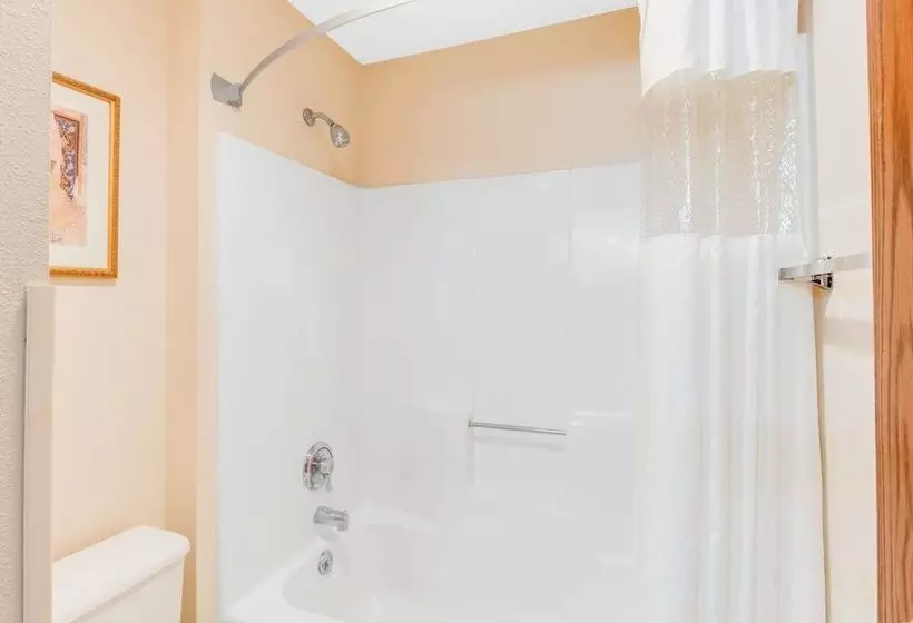 בית מלון כפרי Baymont By Wyndham Kalamazoo West