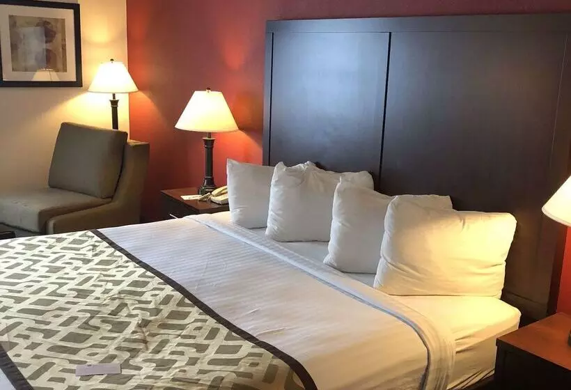 Hotelli Best Western Dallas Inn & Suites