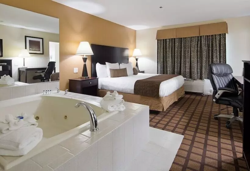 酒店 Best Western Oakbrook Inn