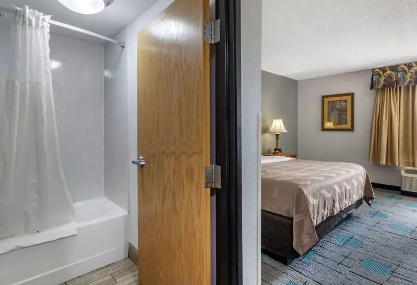 酒店 Quality Inn & Suites