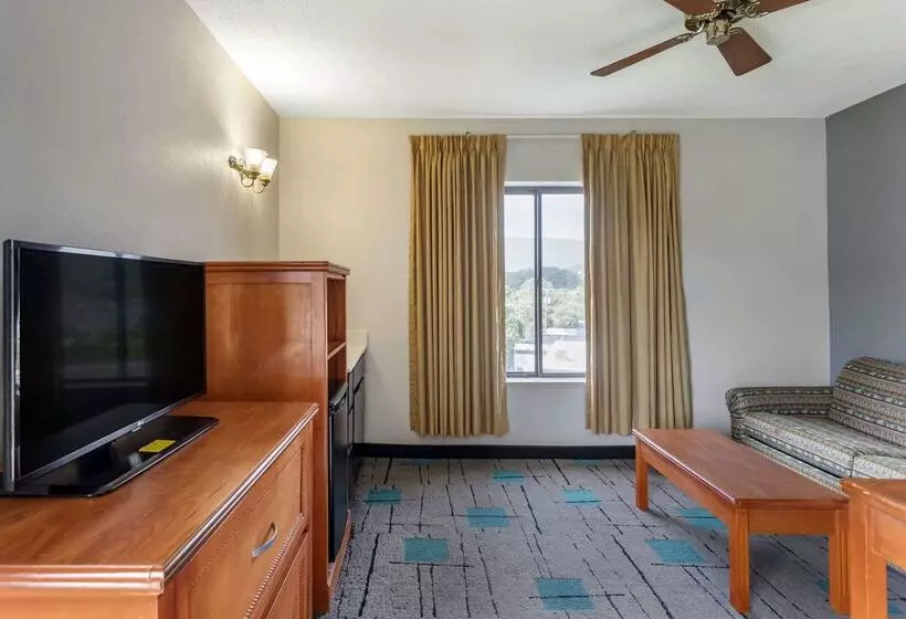 酒店 Quality Inn & Suites