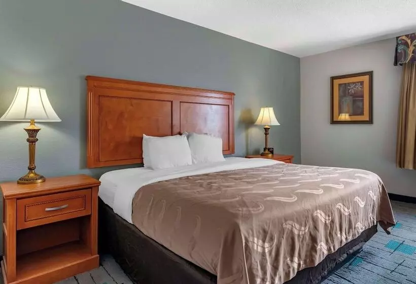 酒店 Quality Inn & Suites