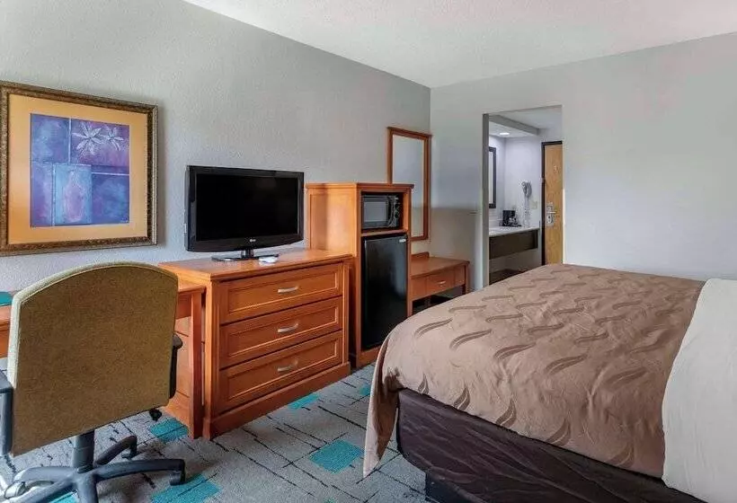 酒店 Quality Inn & Suites