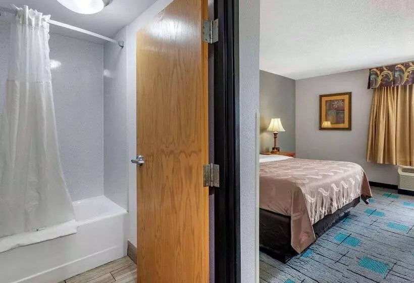 酒店 Quality Inn & Suites