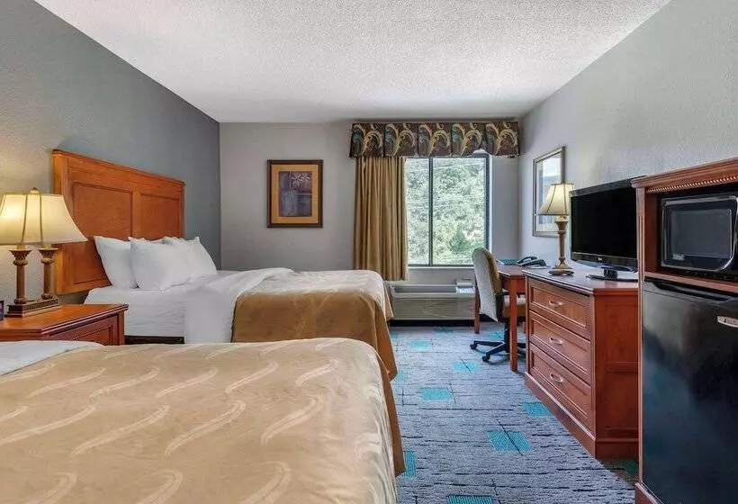 酒店 Quality Inn & Suites