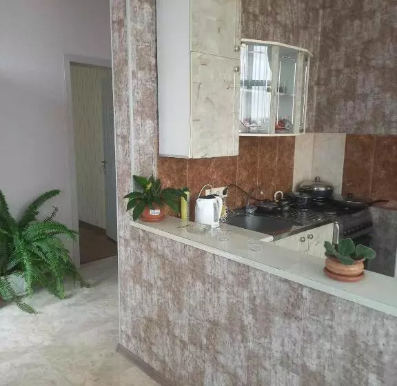 پانسیون Sunrise   Guest House
