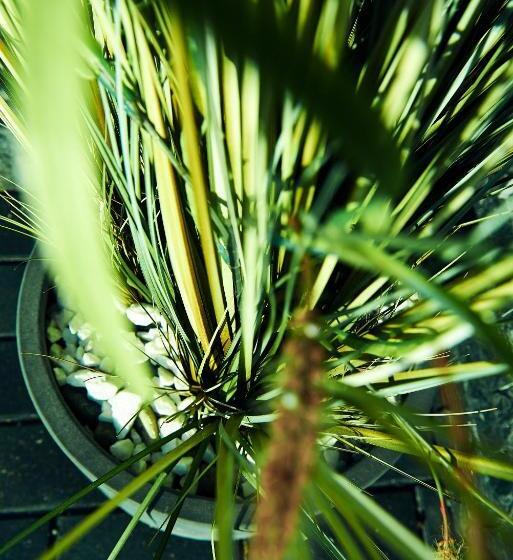 پانسیون Boutique Hotel Casa Medievala