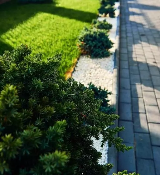 پانسیون Boutique Hotel Casa Medievala