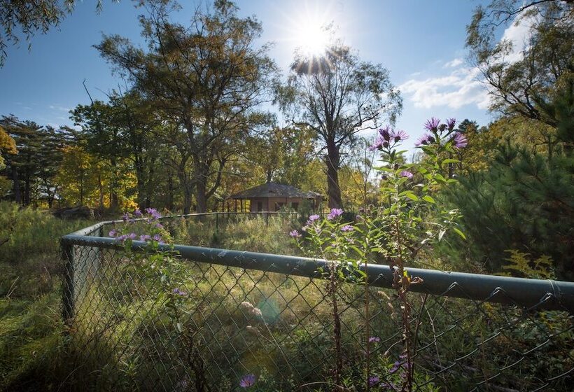 הוסטל The Old Catskill Game Farm Inn