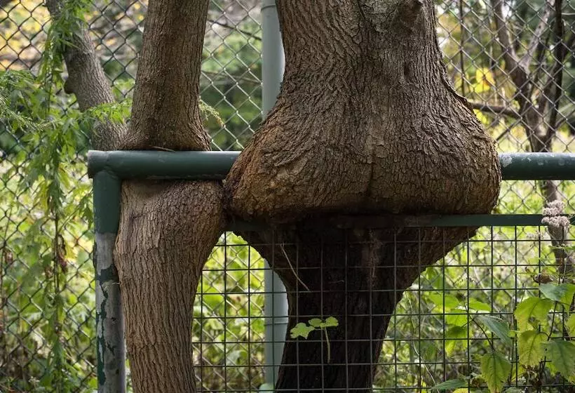 Retkeilymaja The Old Catskill Game Farm Inn