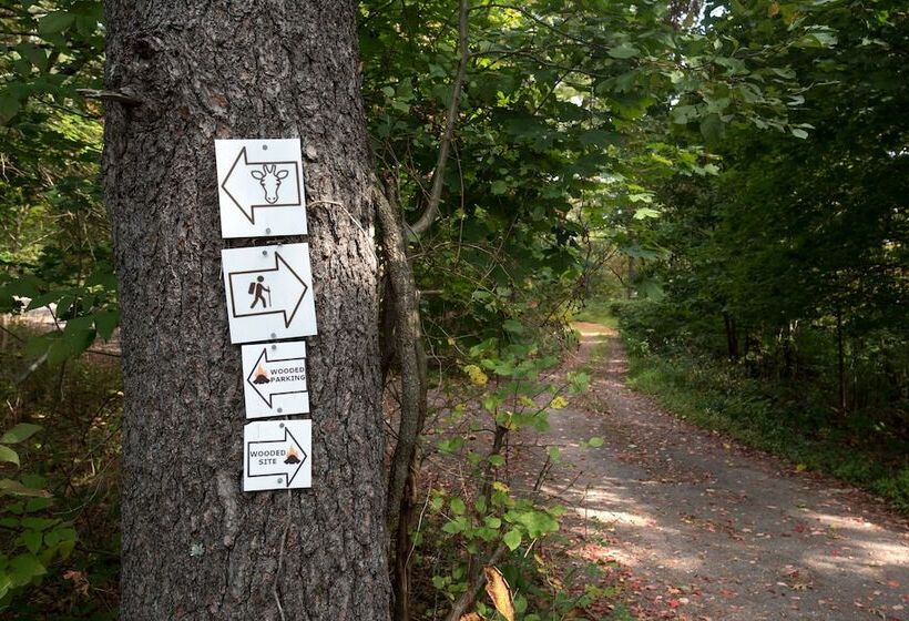 הוסטל The Old Catskill Game Farm Inn