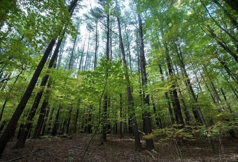 Retkeilymaja The Old Catskill Game Farm Inn