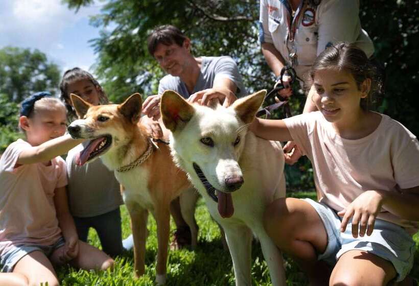 בית מלון כפרי Darwin Freespirit Resort