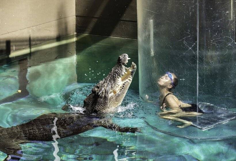 בית מלון כפרי Darwin Freespirit Resort