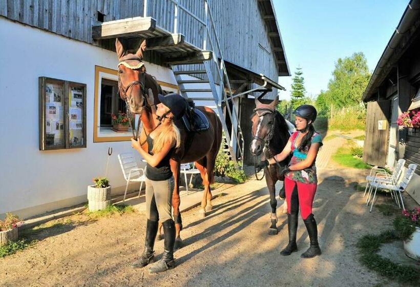 Familienhotel Reiterhof Runding