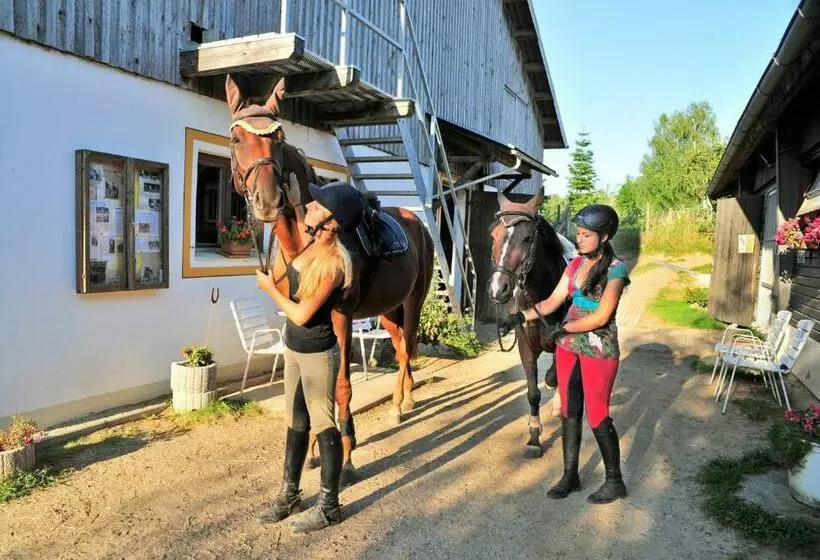 Familienhotel Reiterhof Runding