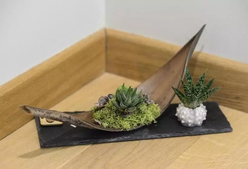 B&b Quarto Novo Suite