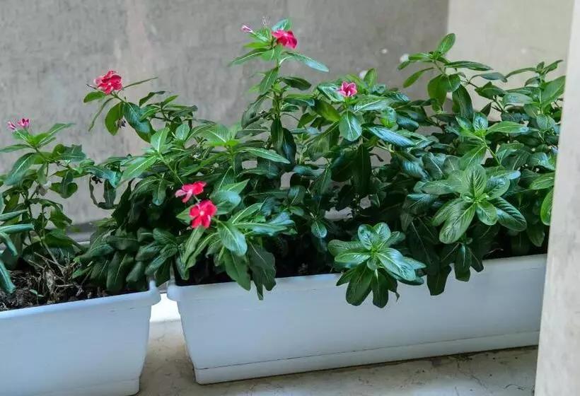 B&b Quarto Novo Suite