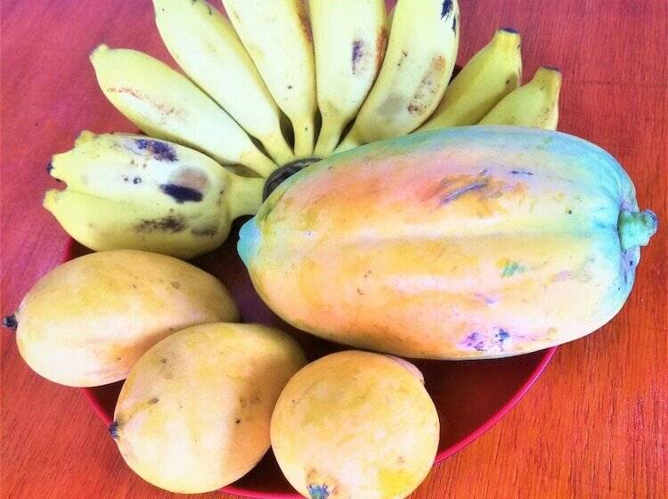 Pension (Hôtel basse catégorie) One Bhakthi