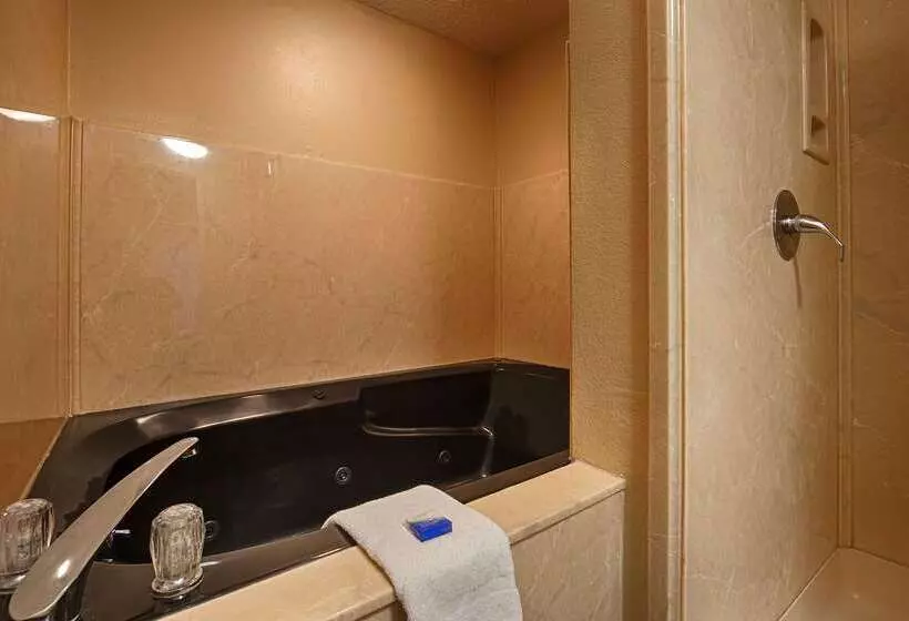 酒店 Best Western Inn Of Nacogdoches