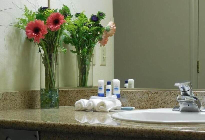 酒店 Best Western John Jay Inn