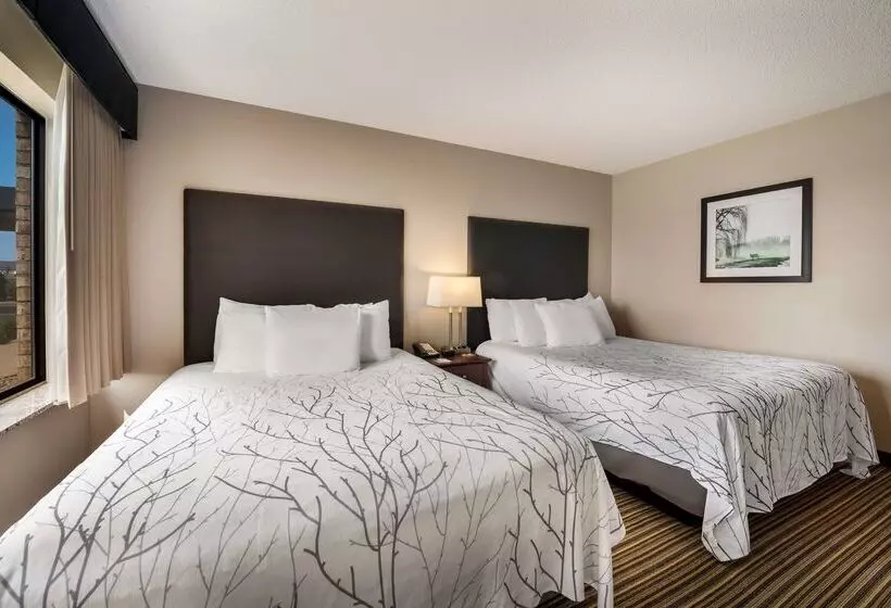 호텔 Best Western Park Oasis Inn