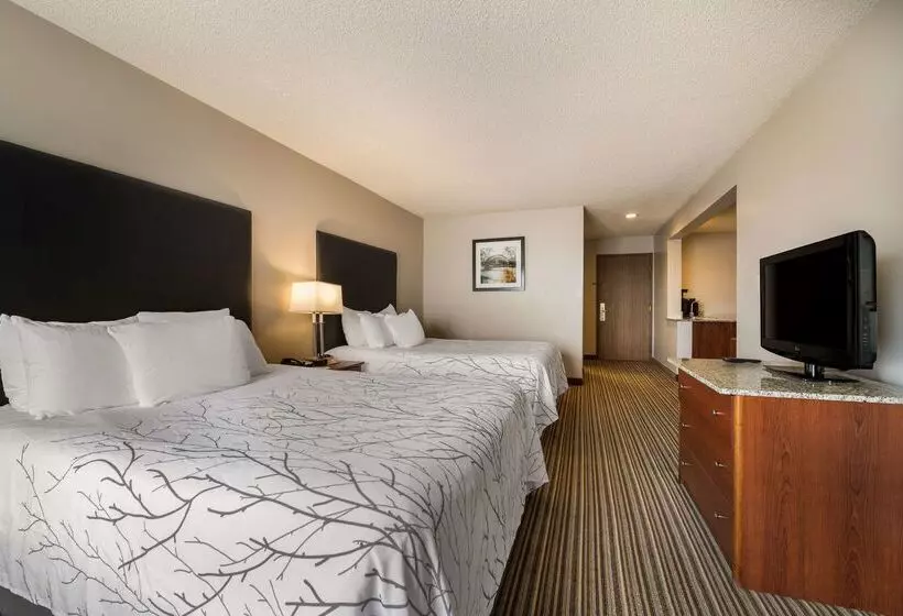 호텔 Best Western Park Oasis Inn