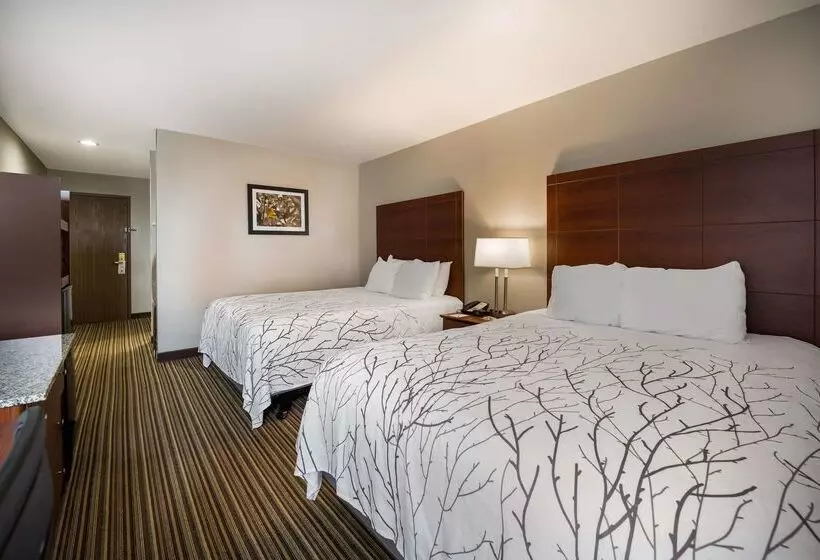 호텔 Best Western Park Oasis Inn