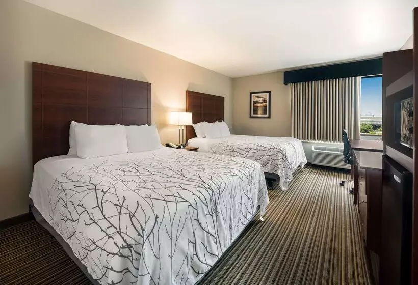 호텔 Best Western Park Oasis Inn