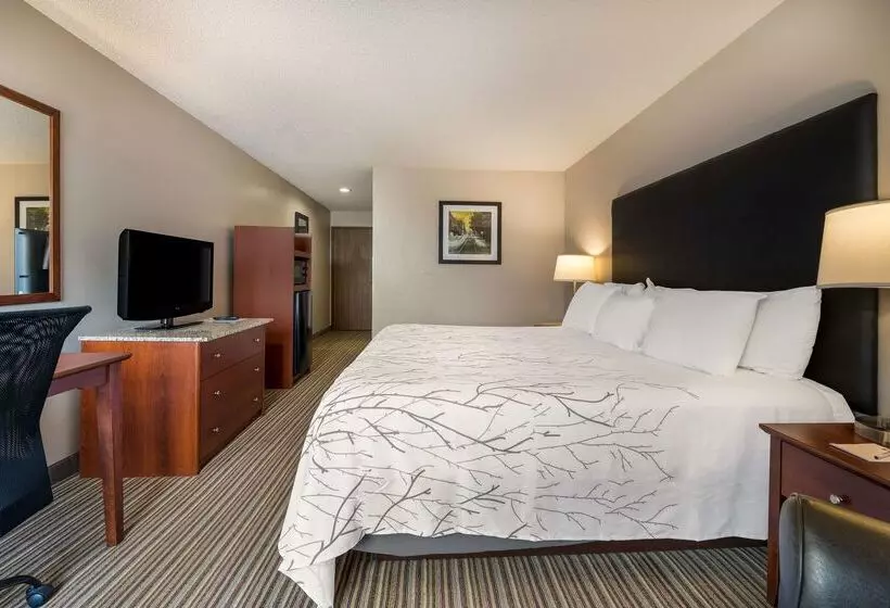 호텔 Best Western Park Oasis Inn