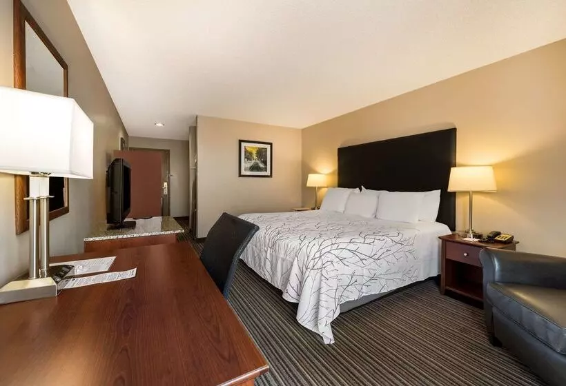 호텔 Best Western Park Oasis Inn